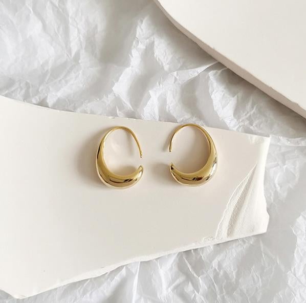 Luxurious Earrings Made of Gold and Silver
